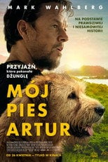 Mój pies Artur (2024) na Filman - Dostępność online